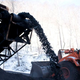 Image for article titled Coal